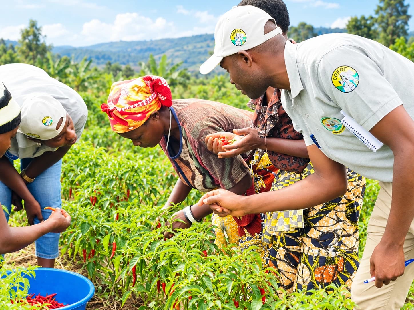 Livelihoods in Horticulture Value Chain